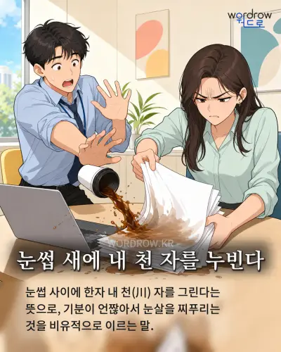 한국어 속담 “눈썹 새에 내 천 자를 누빈다” 1컷 일러스트