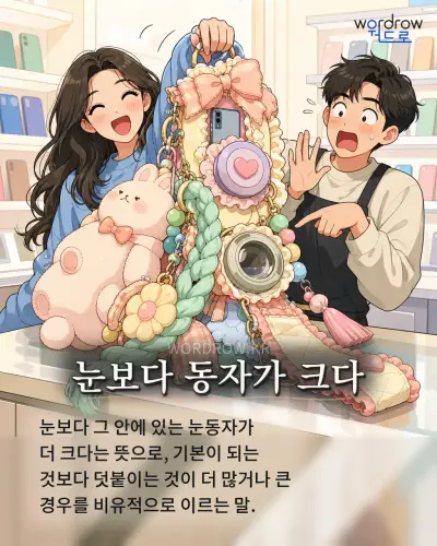 한국어 속담 “눈보다 동자가 크다” 1컷 일러스트