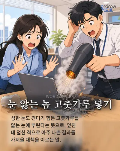 한국어 속담 “눈 앓는 놈 고춧가루 넣기” 1컷 일러스트