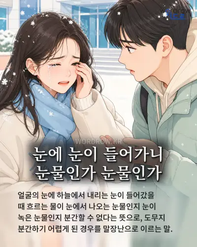 한국어 속담 “눈에 눈이 들어가니 눈물인가 눈물인가”를 한 장면으로 담은 1컷 일러스트