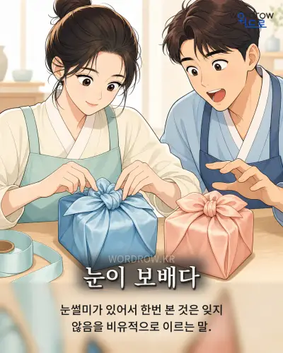 한국어 속담 “눈이 보배다” 1컷 일러스트