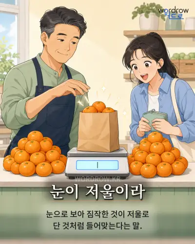 한국어 속담 “눈이 저울이라” 1컷 일러스트