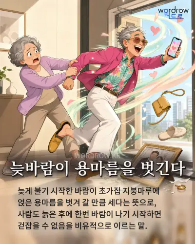 한국어 속담 “늦바람이 용마름을 벗긴다” 1컷 일러스트