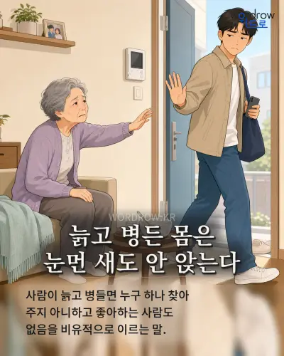 한국어 속담 “늙고 병든 몸은 눈먼 새도 안 앉는다” 1컷 일러스트