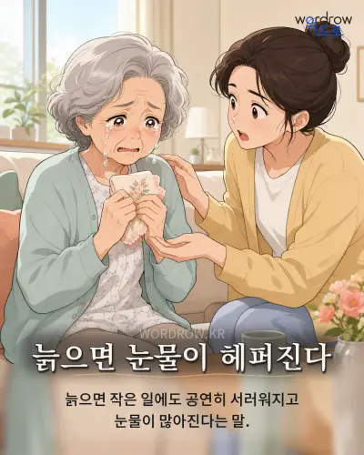 한국어 속담 “늙으면 눈물이 헤퍼진다” 1컷 일러스트