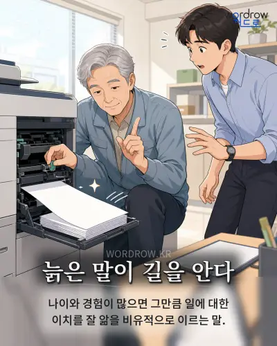 한국어 속담 “늙은 말이 길을 안다” 1컷 일러스트