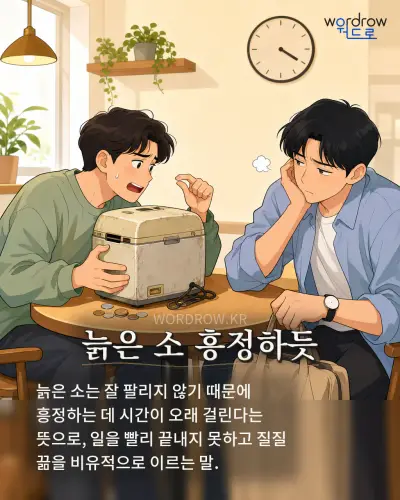 한국어 속담 “늙은 소 흥정하듯” 1컷 일러스트