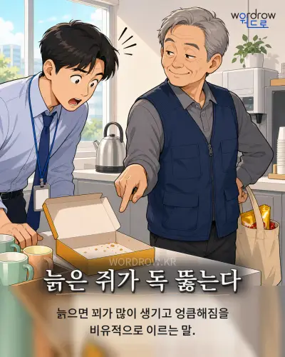 한국어 속담 “늙은 쥐가 독 뚫는다” 1컷 일러스트