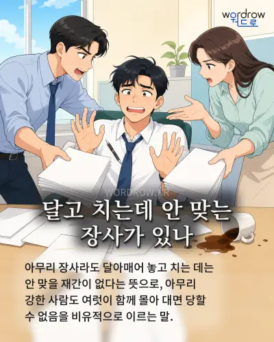 한국어 속담 “달고 치는데 안 맞는 장사가 있나” 1컷 일러스트