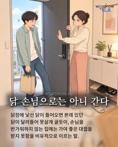 한국어 속담 “닭 손님으로는 아니 간다” 1컷 일러스트