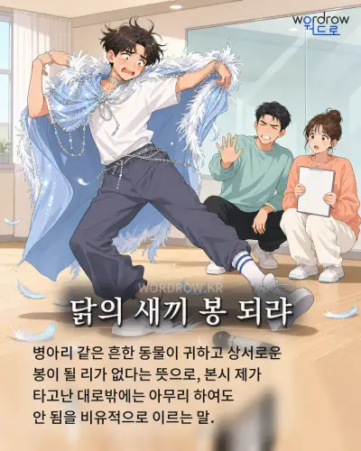 한국어 속담 “닭의 새끼 봉 되랴” 1컷 일러스트