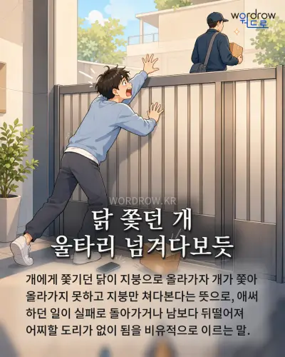 한국어 속담 “닭 쫓던 개 울타리 넘겨다보듯” 1컷 일러스트
