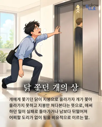 한국어 속담 “닭 쫓던 개의 상” 1컷 일러스트