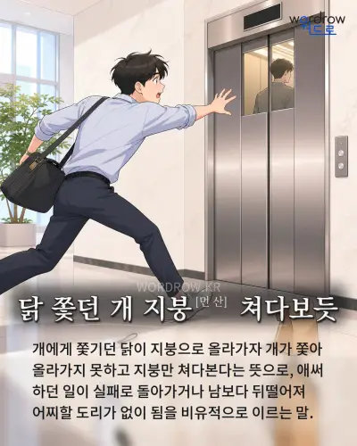 한국어 속담 “닭 쫓던 개 지붕 쳐다보듯” 1컷 일러스트