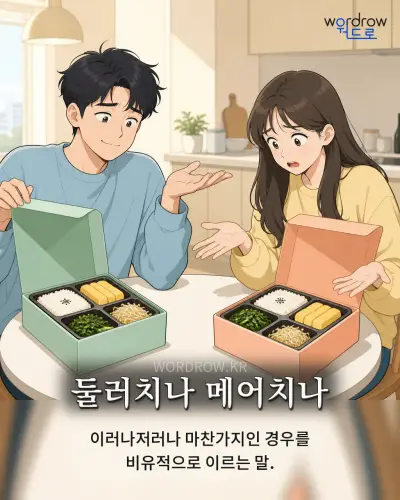 한국어 속담 “둘러치나 메어치나” 1컷 일러스트
