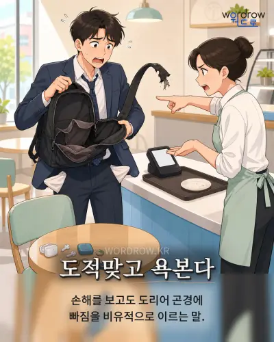 한국어 속담 “도적맞고 욕본다” 1컷 일러스트
