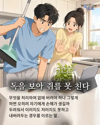 한국어 속담 “독을 보아 쥐를 못 친다” 1컷 일러스트