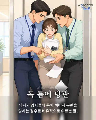 한국어 속담 “독 틈에 탕관” 1컷 일러스트