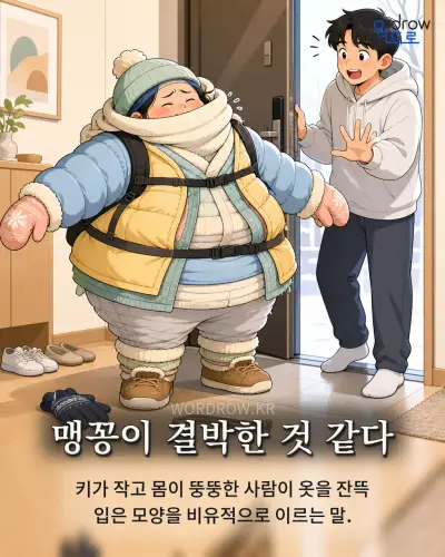 한국어 속담 “맹꽁이 결박한 것 같다” 1컷 일러스트