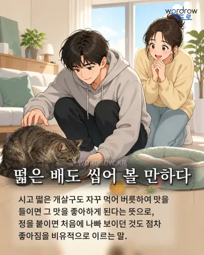 한국어 속담 “떫은 배도 씹어 볼 만하다” 1컷 일러스트