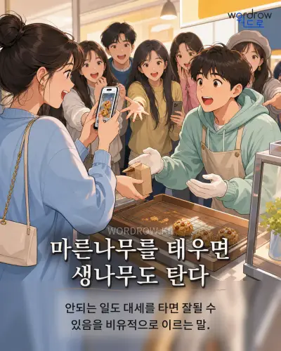 한국어 속담 “마른나무를 태우면 생나무도 탄다” 1컷 일러스트