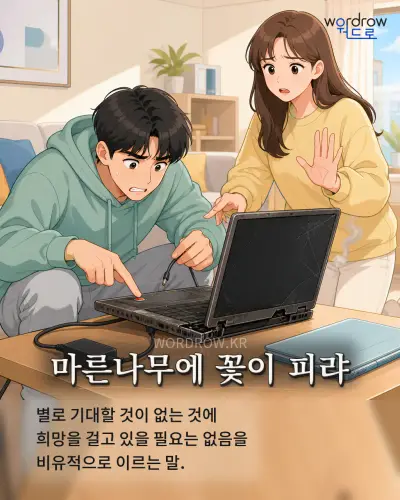 한국어 속담 “마른나무에 꽃이 피랴” 1컷 일러스트