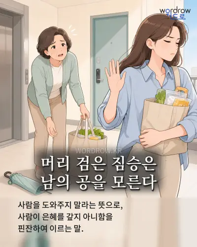 한국어 속담 “머리 검은 짐승은 남의 공을 모른다” 1컷 일러스트