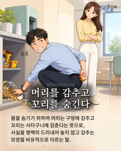 한국어 속담 “머리를 감추고 꼬리를 숨긴다”를 한 장면으로 담은 1컷 일러스트