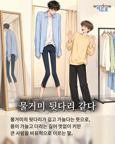 한국어 속담 “물거미 뒷다리 같다” 1컷 일러스트