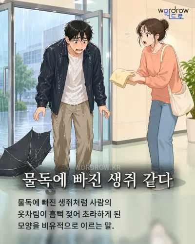 한국어 속담 “물독에 빠진 생쥐 같다” 1컷 일러스트