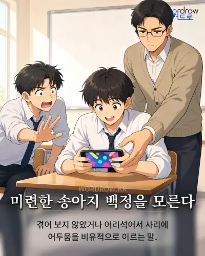 한국어 속담 “미련한 송아지 백정을 모른다” 1컷 일러스트