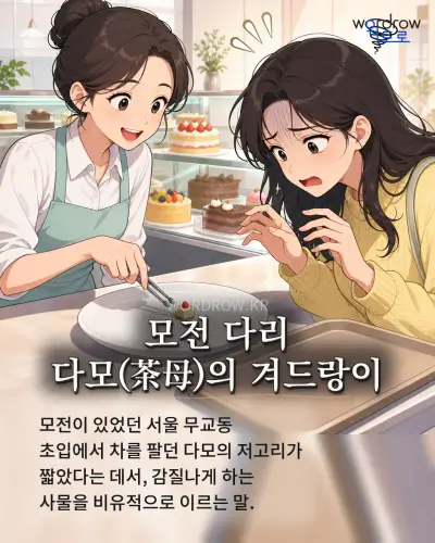 한국어 속담 “모전 다리 다모의 겨드랑이” 1컷 일러스트