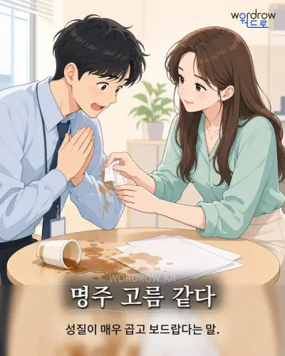한국어 속담 “명주 고름 같다” 1컷 일러스트