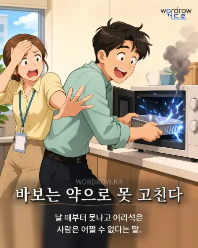 한국어 속담 “바보는 약으로 못 고친다” 1컷 일러스트