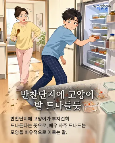 한국어 속담 “반찬단지에 고양이 발 드나들듯”를 한 장면으로 담은 1컷 일러스트
