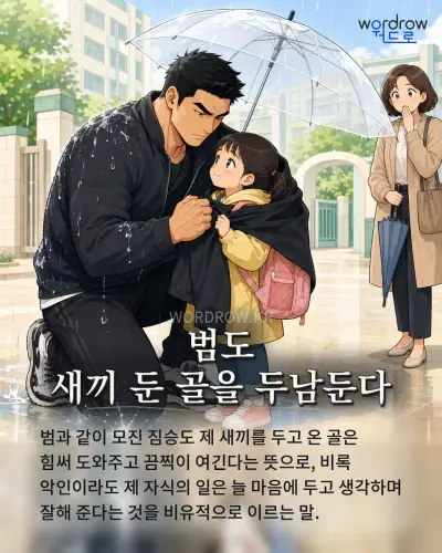 한국어 속담 “범도 새끼 둔 골을 두남둔다” 1컷 일러스트