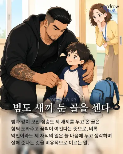 한국어 속담 “범도 새끼 둔 골을 센다” 1컷 일러스트