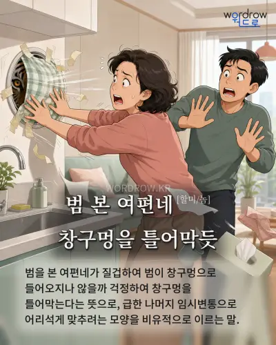 한국어 속담 “범 본 여편네[할미/놈] 창구멍을 틀어막듯” 1컷 일러스트