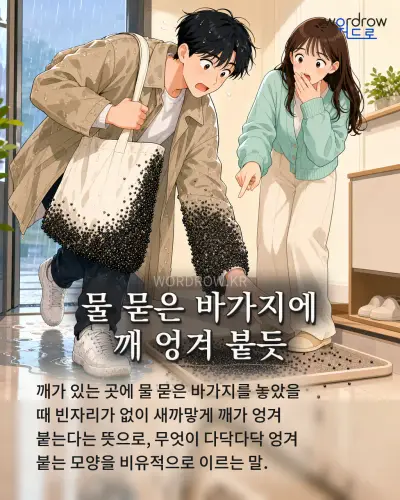 한국어 속담 “물 묻은 바가지에 깨 엉겨 붙듯” 1컷 일러스트