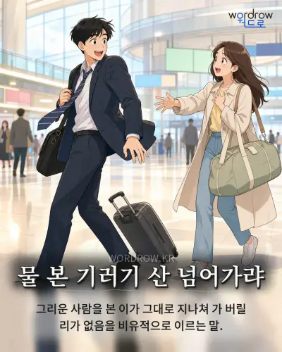 한국어 속담 “물 본 기러기 산 넘어가랴” 1컷 일러스트