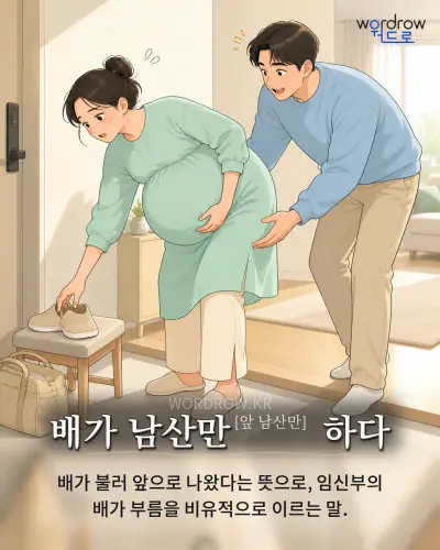 한국어 속담 “배가 남산만[앞 남산만] 하다”를 한 장면으로 담은 1컷 일러스트