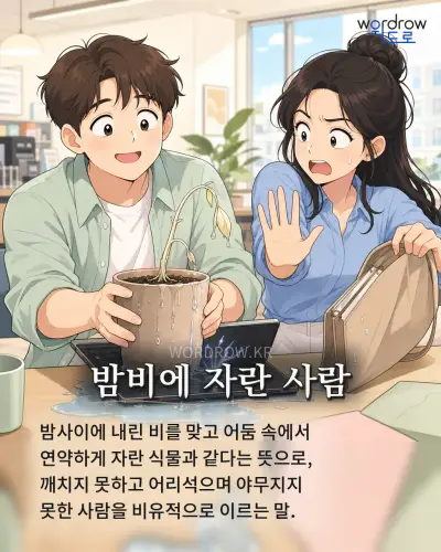 한국어 속담 “밤비에 자란 사람”를 한 장면으로 담은 1컷 일러스트