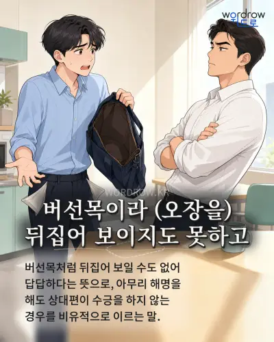 한국어 속담 “버선목이라 뒤집어 보이지도 못하고” 1컷 일러스트