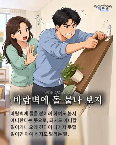 한국어 속담 “바람벽에 돌 붙나 보지” 1컷 일러스트