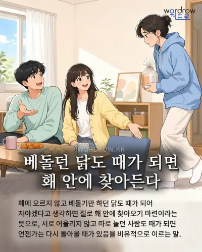 한국어 속담 “베돌던 닭도 때가 되면 홰 안에 찾아든다” 1컷 일러스트