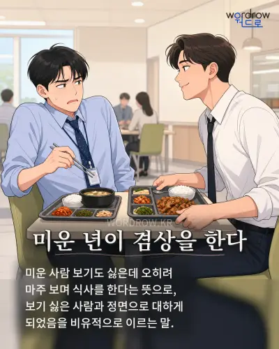 한국어 속담 “미운 년이 겸상을 한다” 1컷 일러스트