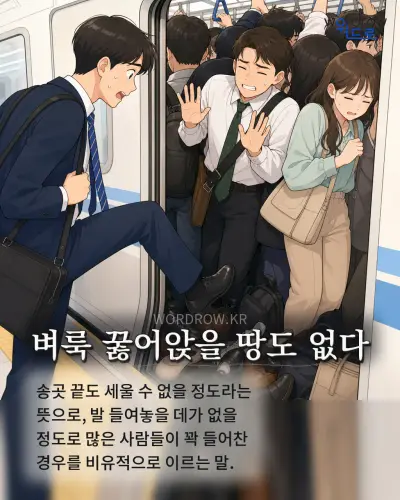 한국어 속담 “벼룩 꿇어앉을 땅도 없다” 1컷 일러스트