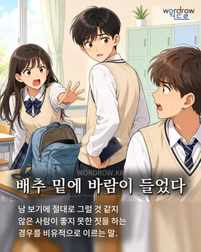 한국어 속담 “배추 밑에 바람이 들었다” 1컷 일러스트