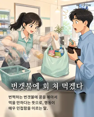 한국어 속담 “번갯불에 회 쳐 먹겠다” 1컷 일러스트