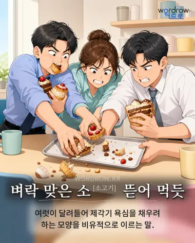 한국어 속담 “벼락 맞은 소[소고기] 뜯어 먹듯” 1컷 일러스트